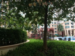 Costa Rhu (D15), Condominium #200697392